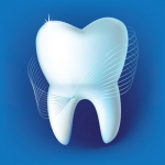 Зубики (медицинские Зубы)