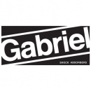 Gabreel ( Gabreel)