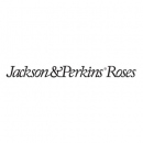 Jackson ( Jackson & Perkins Roses)