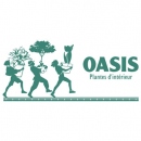 OASIS ( OASIS Plantes d interieur)