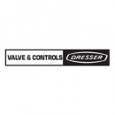 Valve & Controls ( Valve & Controls)