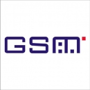       GSM-
