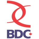 BDC ( BDC)