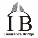 Insurance Bridge ( Insurance Bridge)